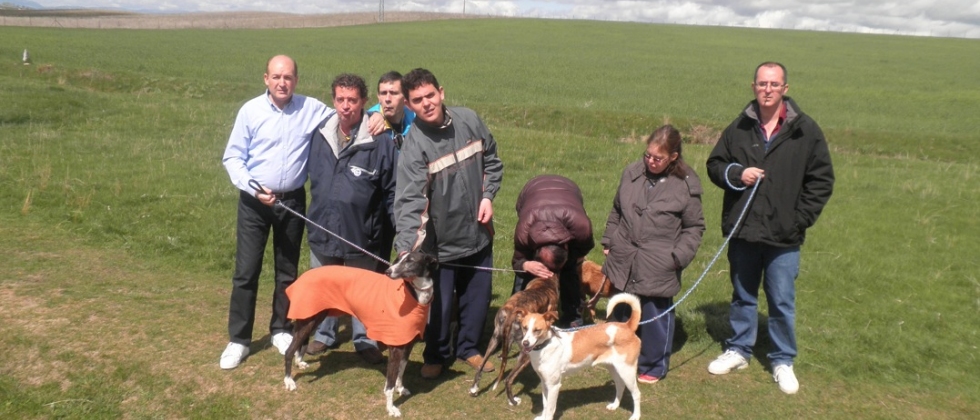 Mayo 2012